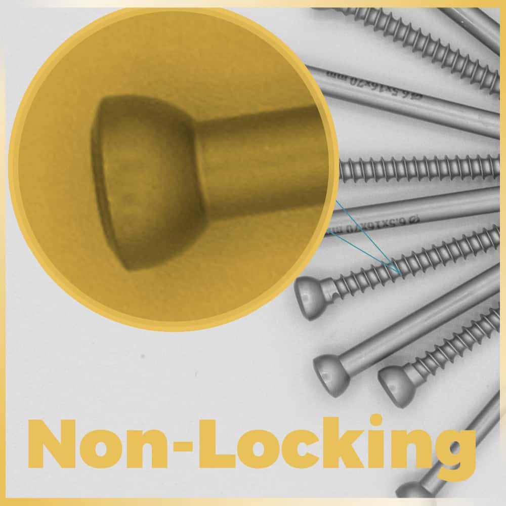 nonlockingSCREW Aysam